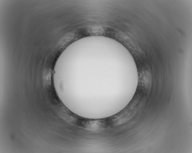 X0000112900717200909041723