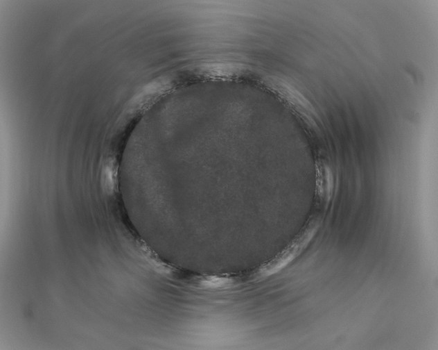 X0000112900718200909041722