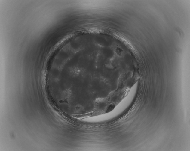 X0000112900722200909041722