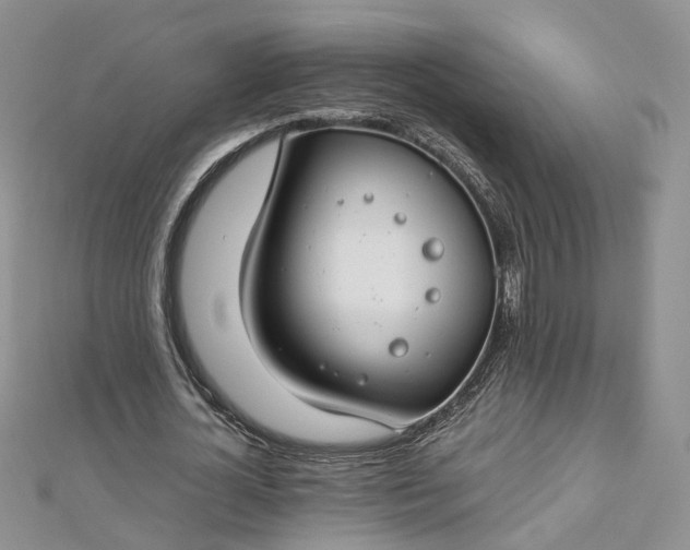 X0000112900724200909041722