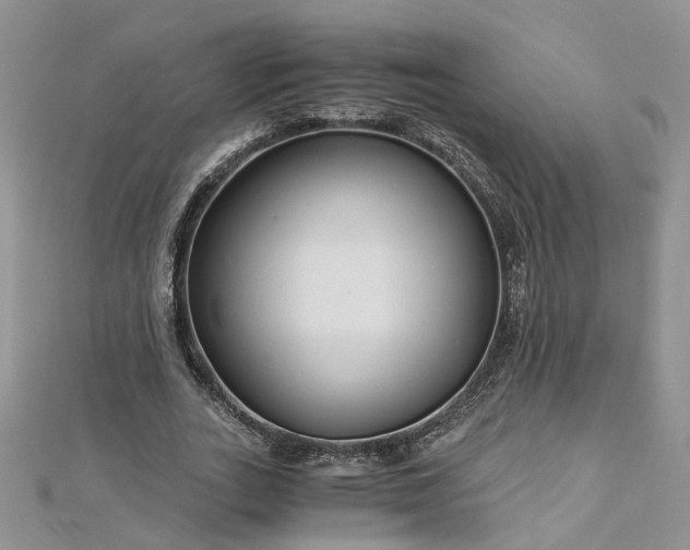 X0000112900727200909041722