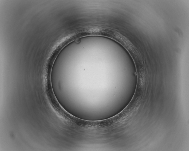 X0000112900728200909041722