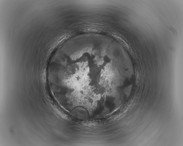 X0000112900729200909041722