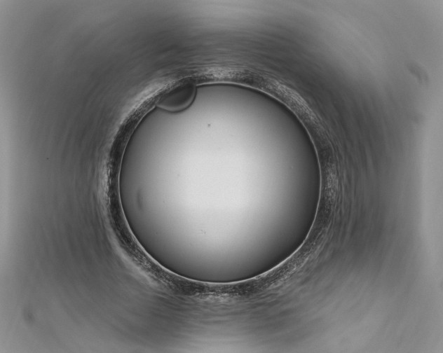 X0000112900730200909041722