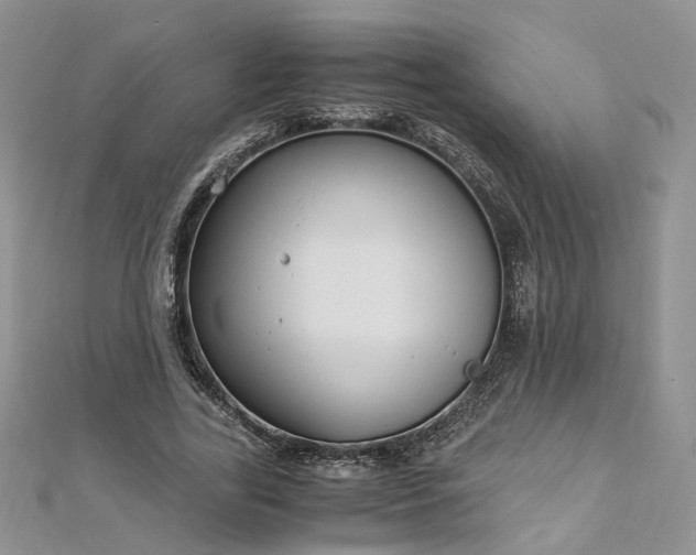 X0000112900731200909041722