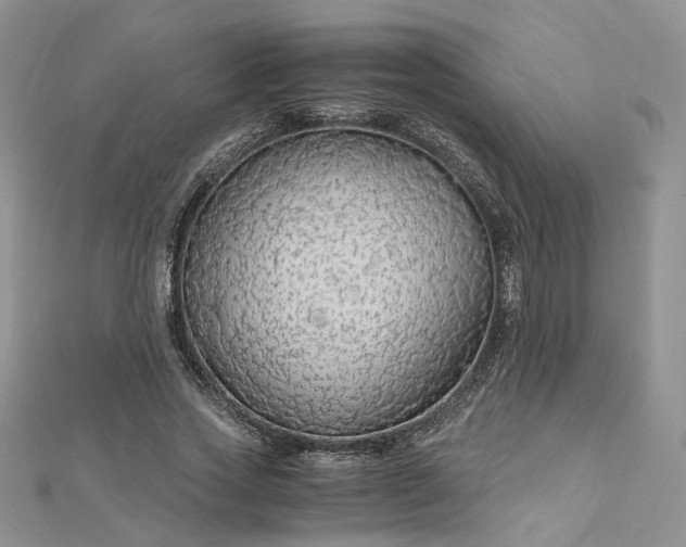 X0000112900733200909041722