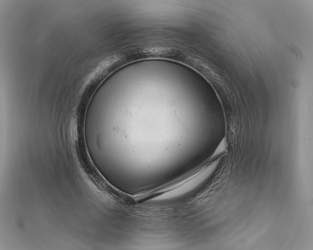 X0000112900734200909041722