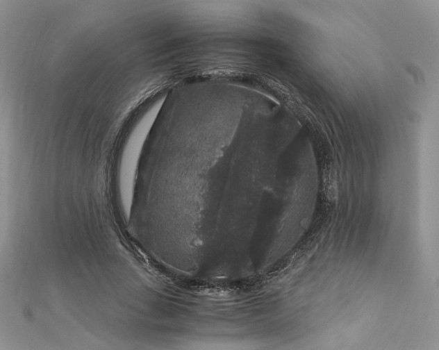 X0000112900735200909041722