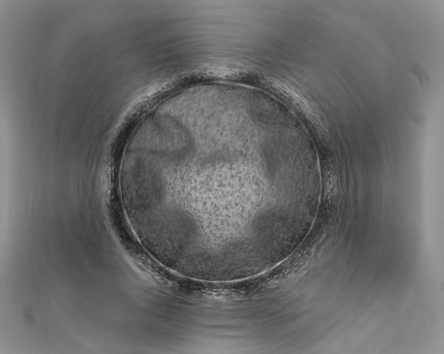 X0000112900736200909041722