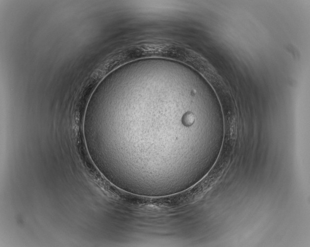 X0000112900737200909041722