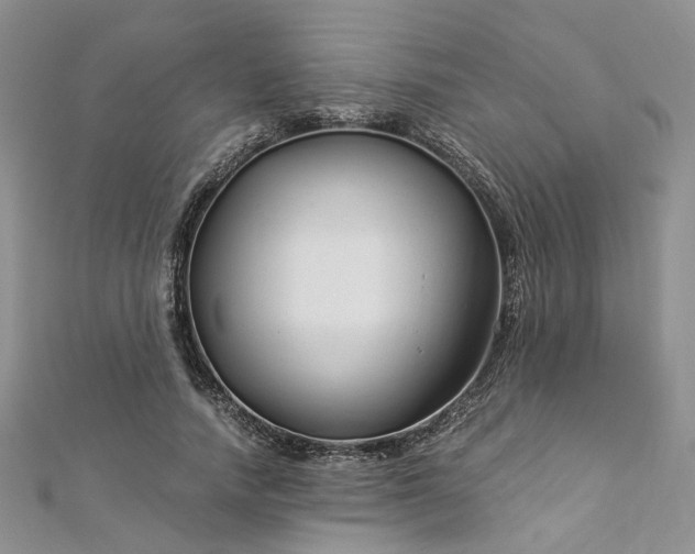 X0000112900738200909041722