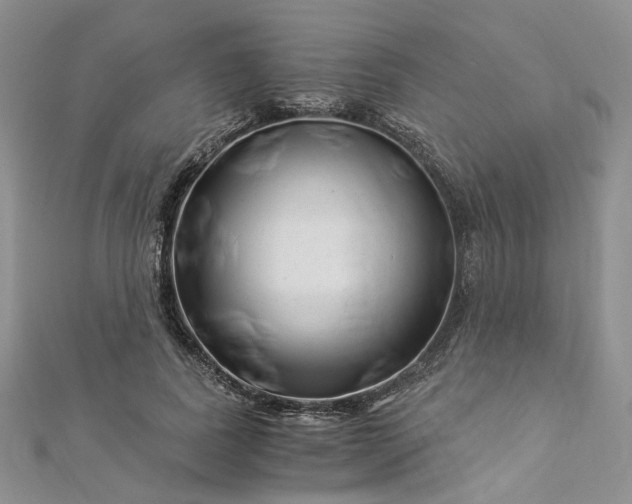 X0000112900739200909041722