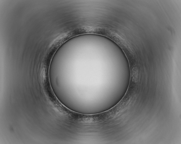 X0000112900740200909041722