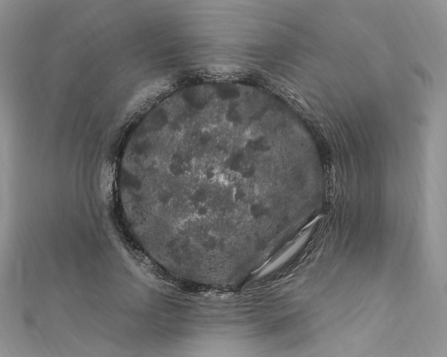 X0000112900742200909041722