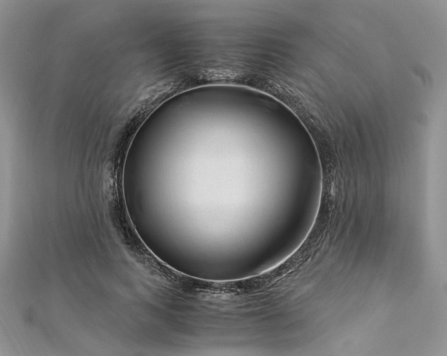 X0000112900743200909041722