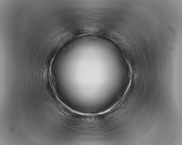 X0000112900745200909041722