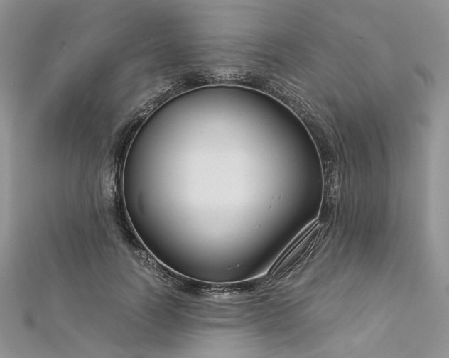 X0000112900746200909041722