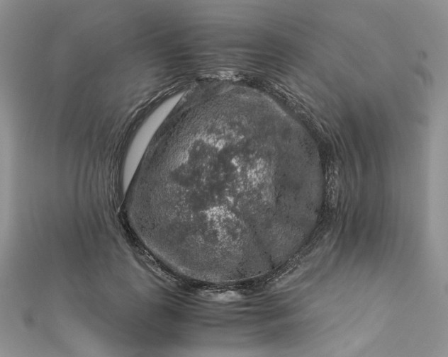 X0000112900747200909041722