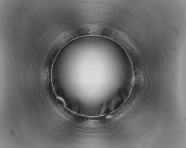 X0000112900748200909041722