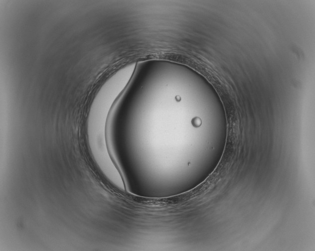 X0000112900750200909041722