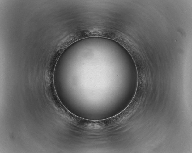 X0000112900751200909041722