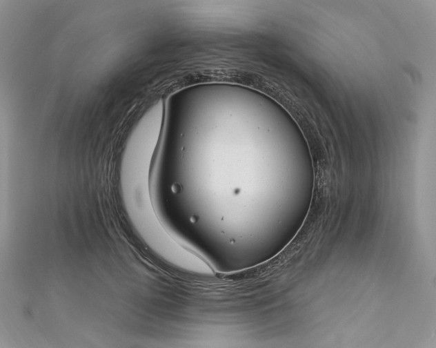 X0000112900752200909041722