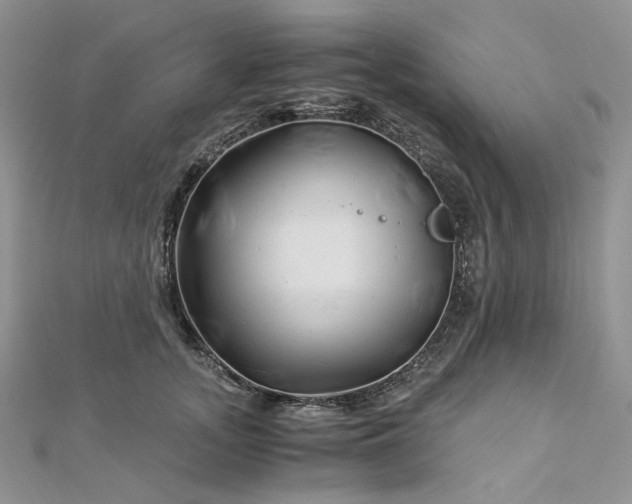 X0000112900755200909041722