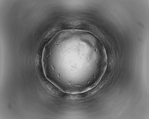 X0000112900758200909041722