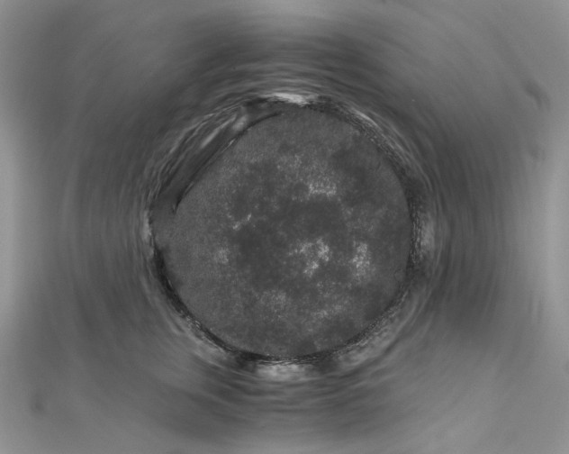 X0000112900759200909041722