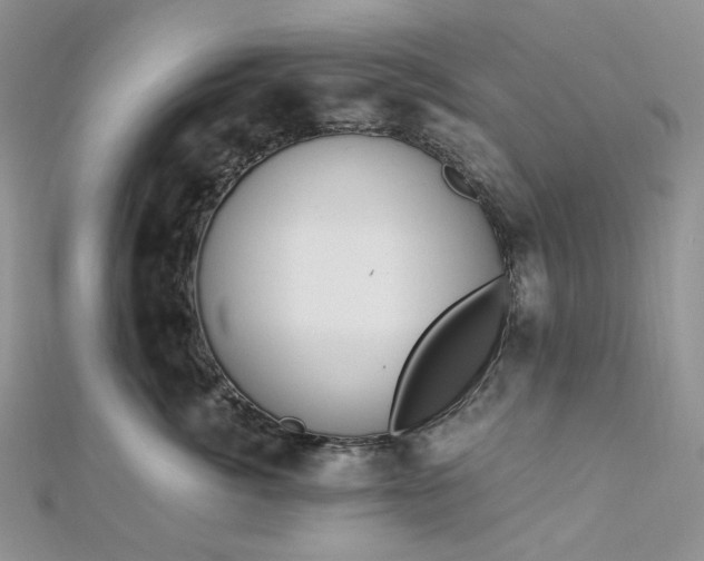 X0000112900764200909041722