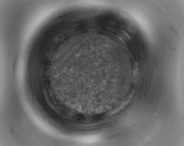 X0000112900765200909041722