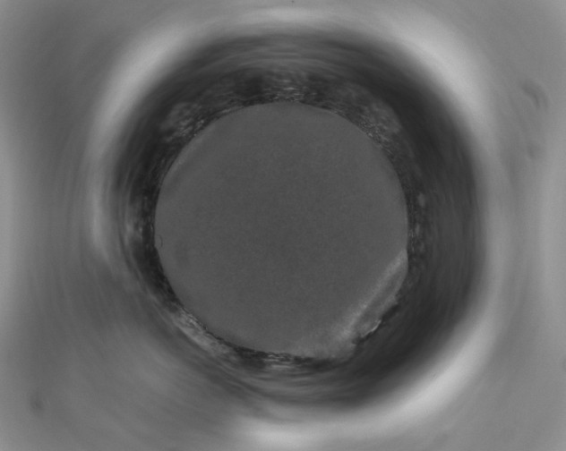 X0000112900766200909041722