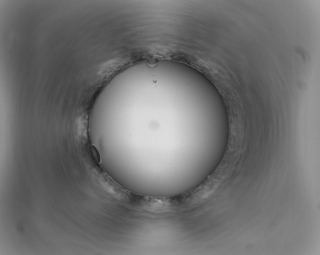 X0000112900768200909041722