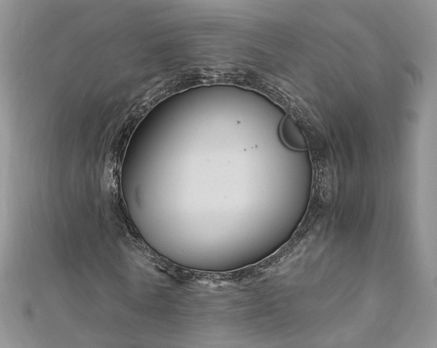 X0000112900770200909041722