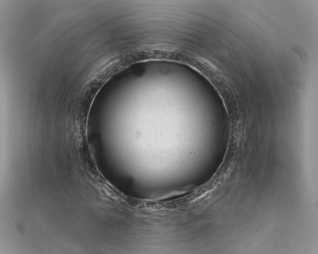 X0000112900774200909041722