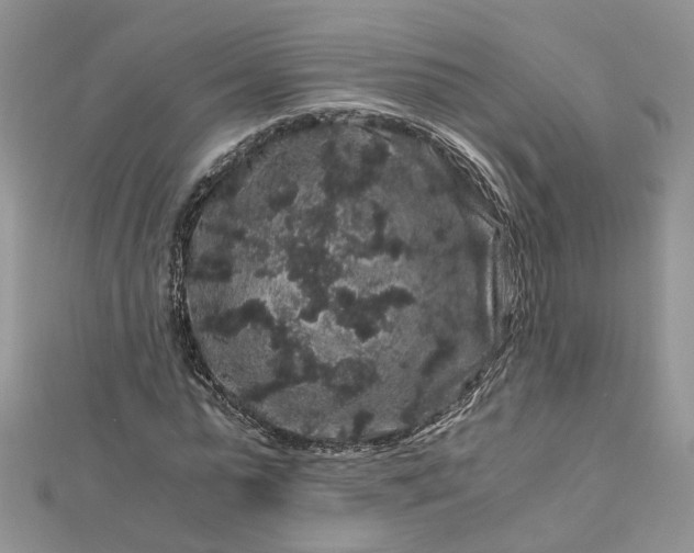 X0000112900775200909041722