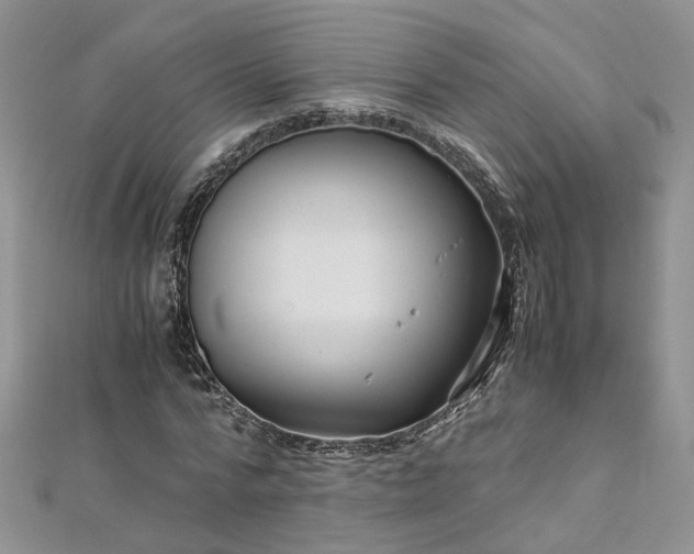 X0000112900776200909041722