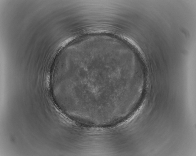 X0000112900777200909041722