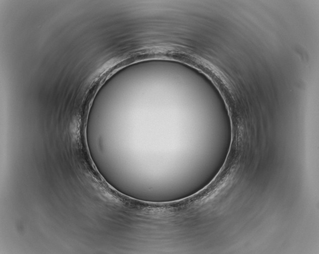 X0000112900778200909041722