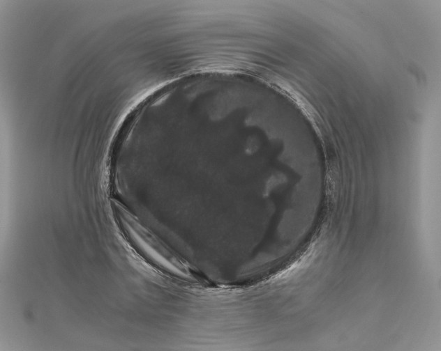 X0000112900779200909041722