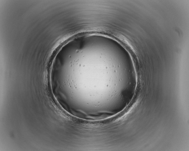 X0000112900781200909041722