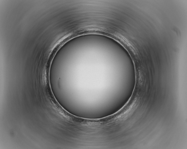 X0000112900782200909041721