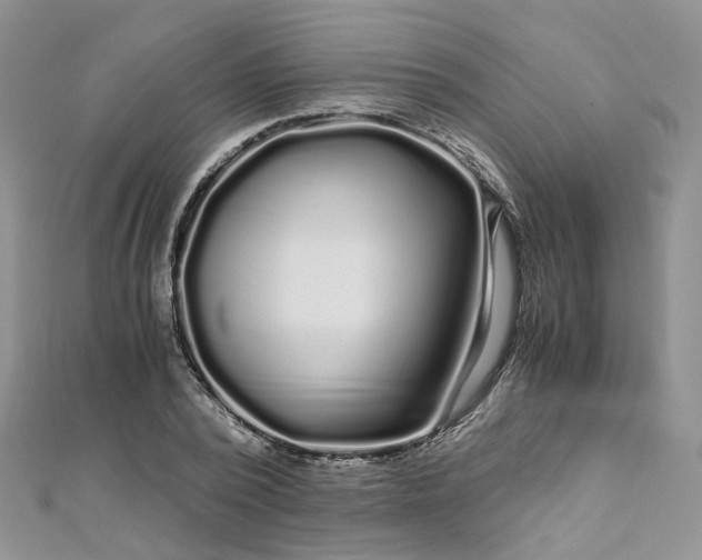 X0000112900784200909041721