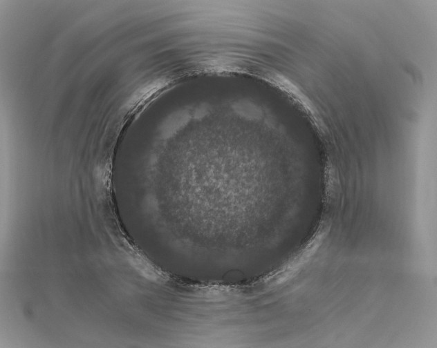 X0000112900785200909041721