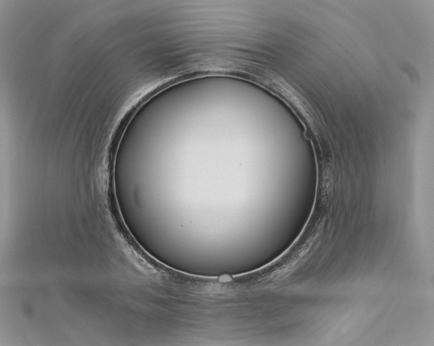 X0000112900787200909041721