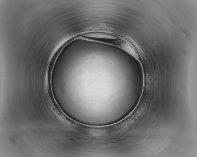 X0000112900788200909041721