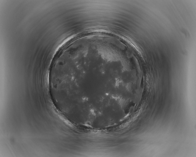 X0000112900790200909041721