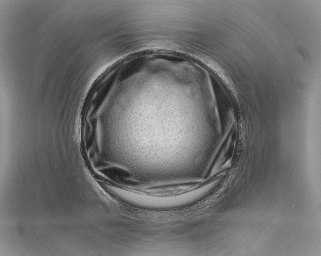 X0000112900791200909041721