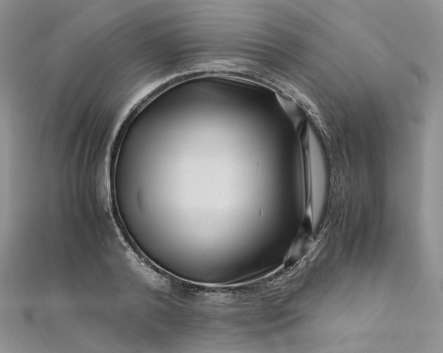 X0000112900792200909041721