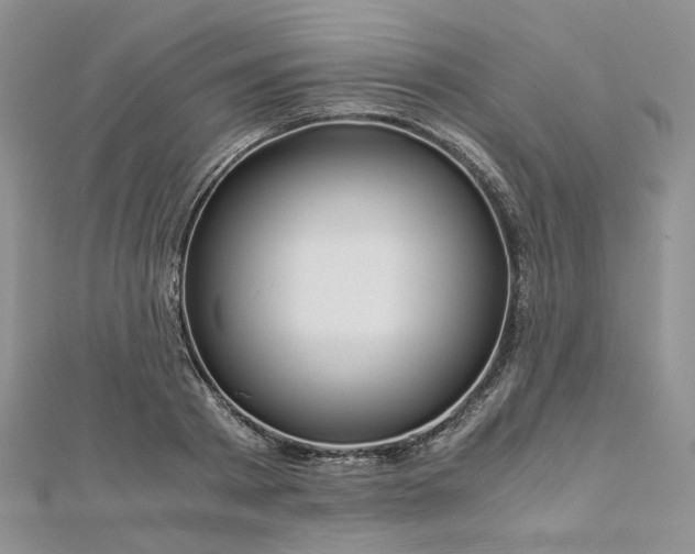 X0000112900793200909041721